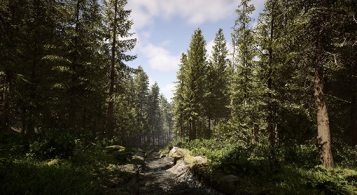 《森林之子》1.0正式版全探索流程解说视频